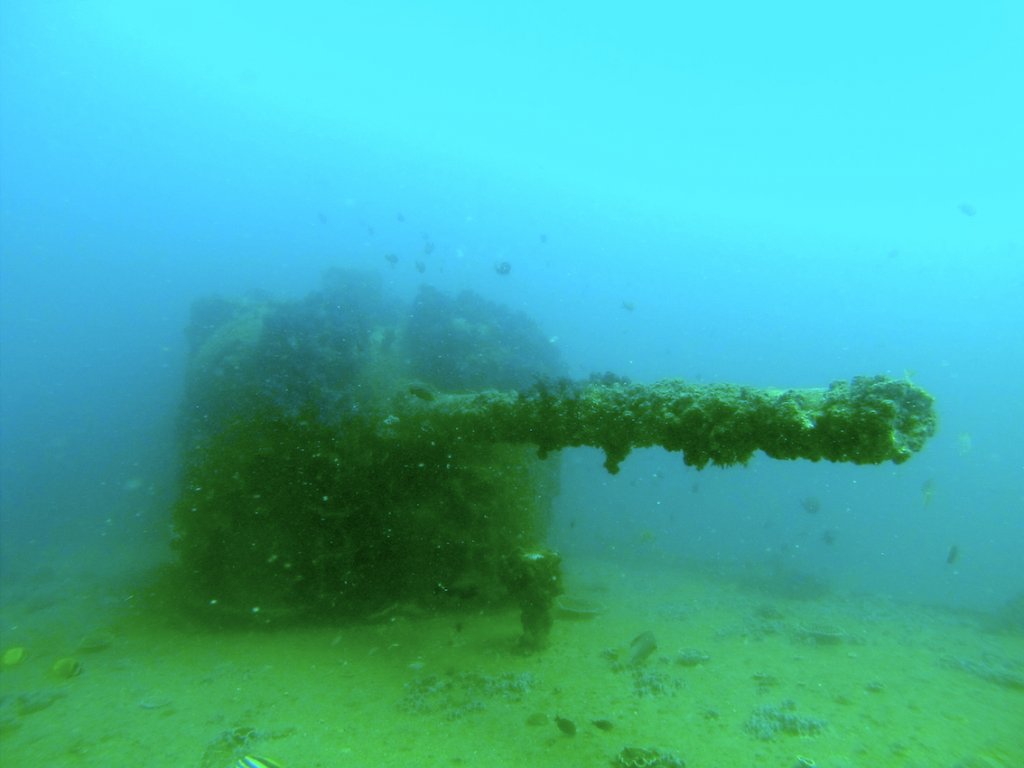 Deck Gun