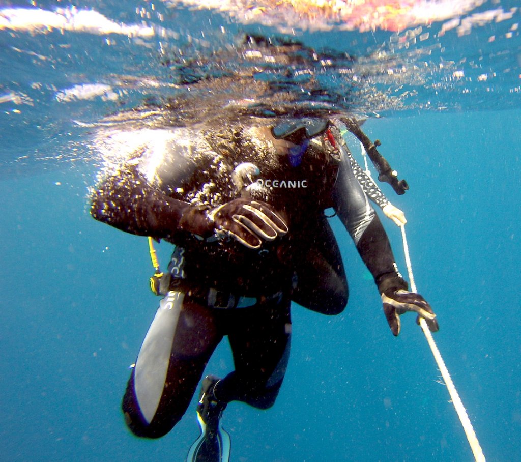 Hanging off the drop line