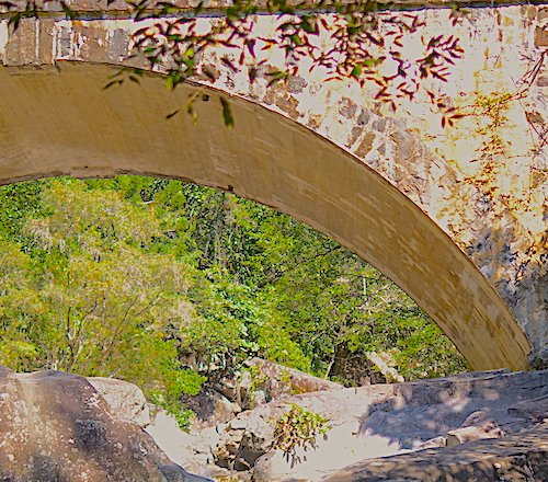 An amazing piece of architecture: Little Crystal Creek, North Queensland