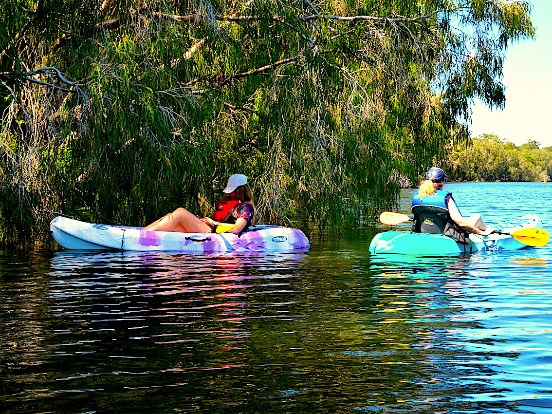 Kayakers Ross River