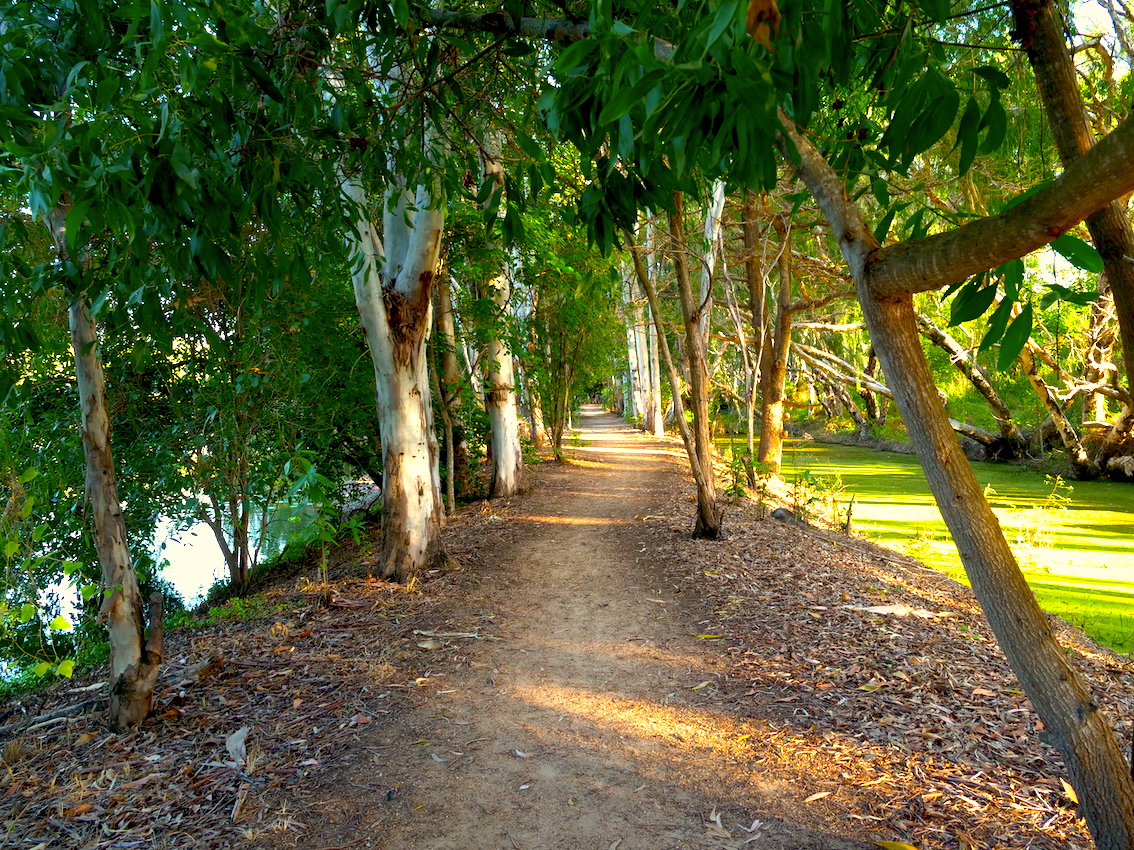 Walking track Upper Ross River