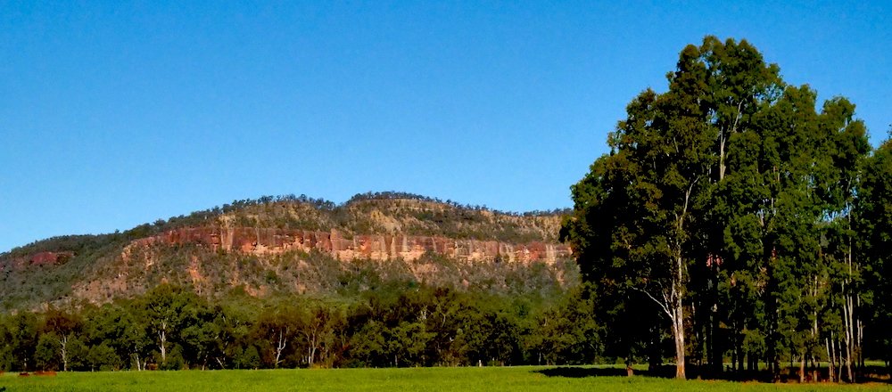 Carnarvon Gorge and Cattle Grazing: Day 8 of my motorcycle tour of Queensland
