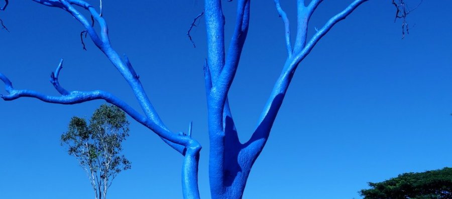 The Blue Tree, a symbol of hope or desecration of nature?