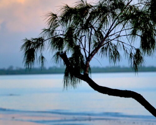 Top 12 beaches in Queensland