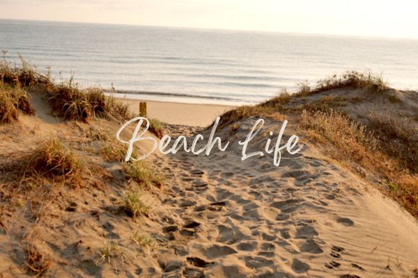 Beach Life - Digital Swaggie