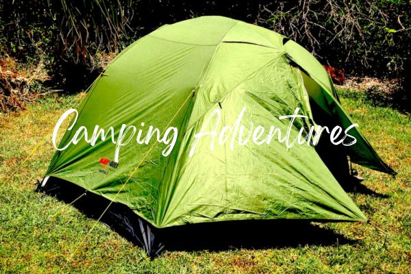 Blog camping digital swaggie