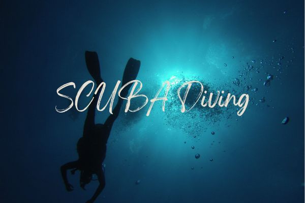 Blog SCUBA Diving digital swaggie