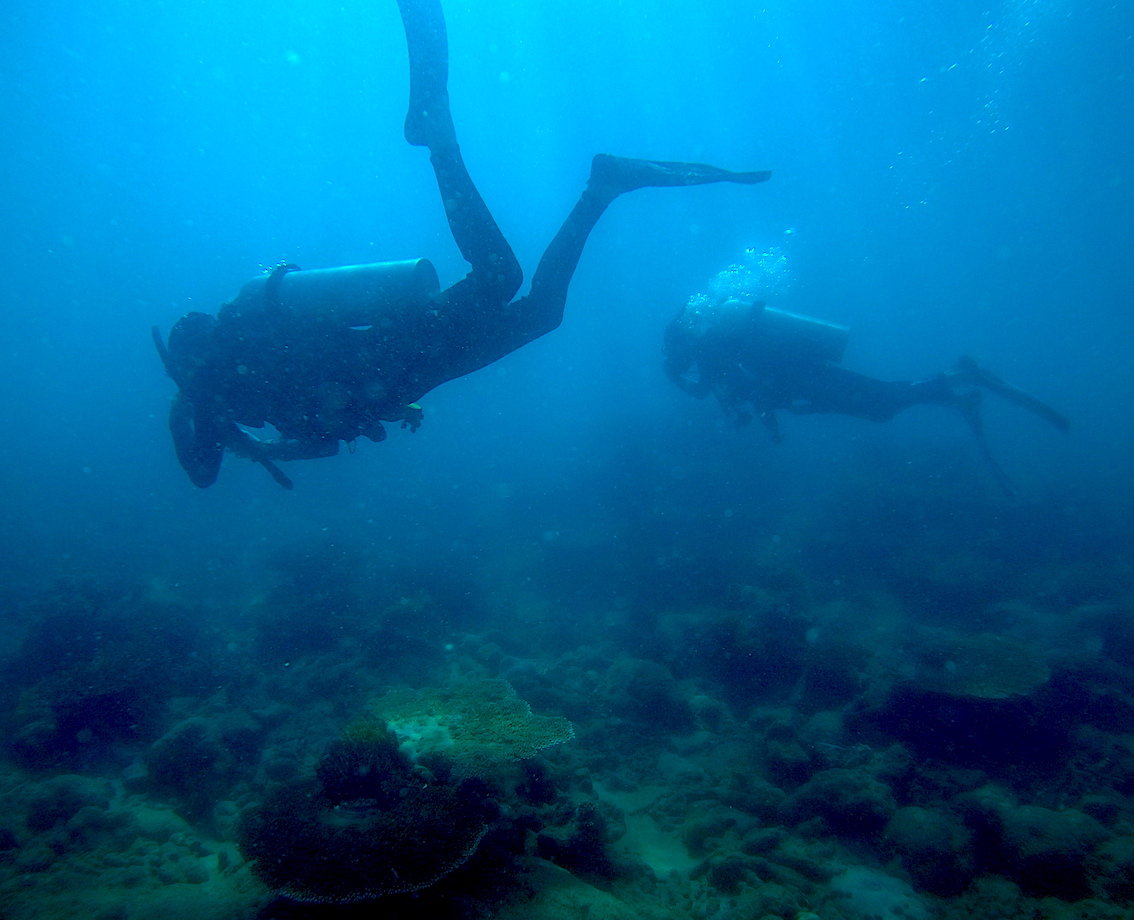 Diving the Pelorus Island Express on the Great Barrier Reef